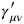 \gamma ^\prime _{\mu \nu }