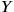 Y