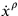 \dot{x}^\rho 