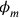 \phi _m