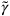 \tilde{\gamma }