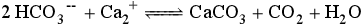 2HCO3- + Ca2+ <=> CaCO3 + CO2 + H2O